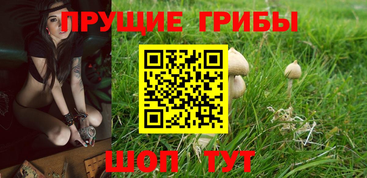 Калуга  дарнет шоп  Вход с VPN  Галлюциногенные грибы Psilocybe  Псилоцибиновые грибы Magic Shrooms 