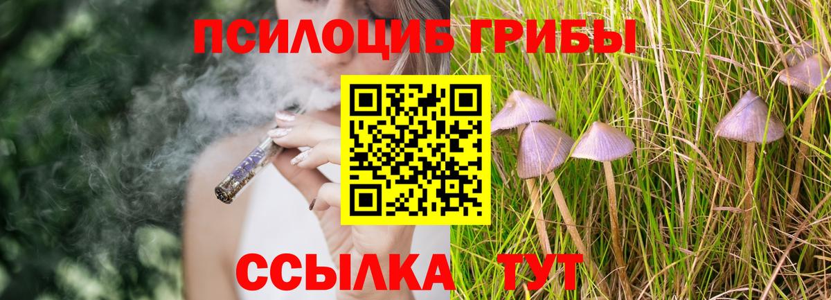 Галлюциногенные грибы MAGIC MUSHROOMS Калуга